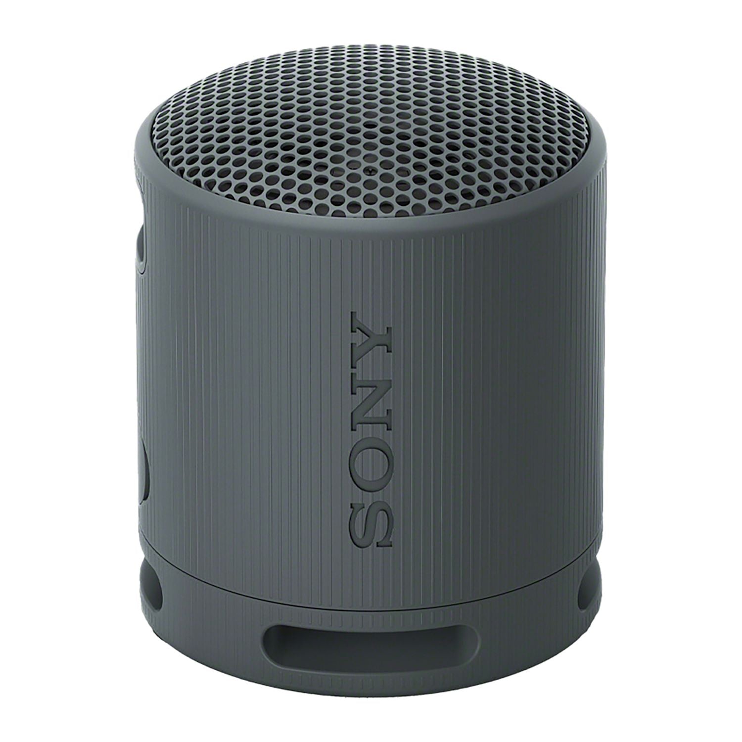 Sony SRS-XB100 Bluetooth Speaker
