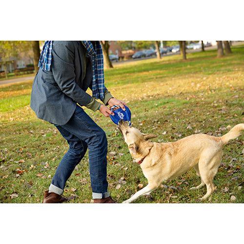 Fetch-It Dog Toy