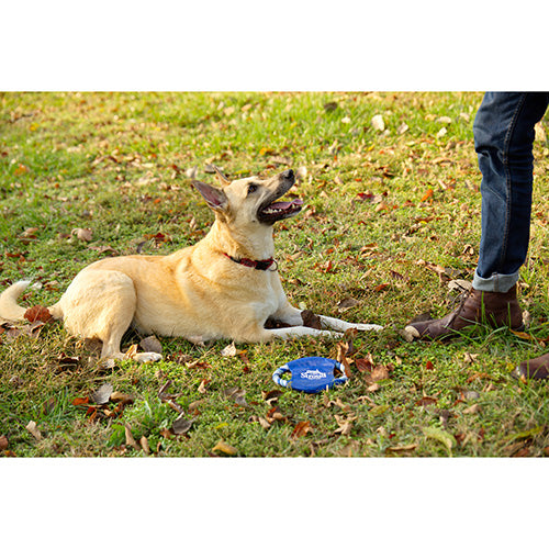 Fetch-It Dog Toy