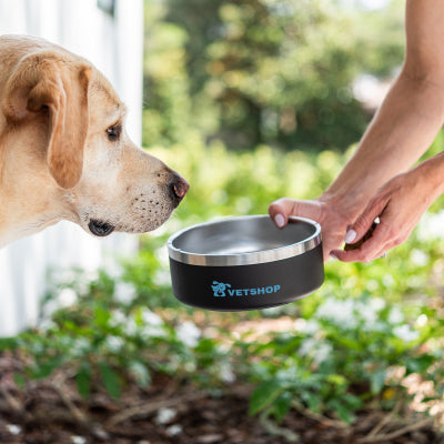 Stainless Steel Pet Bowl