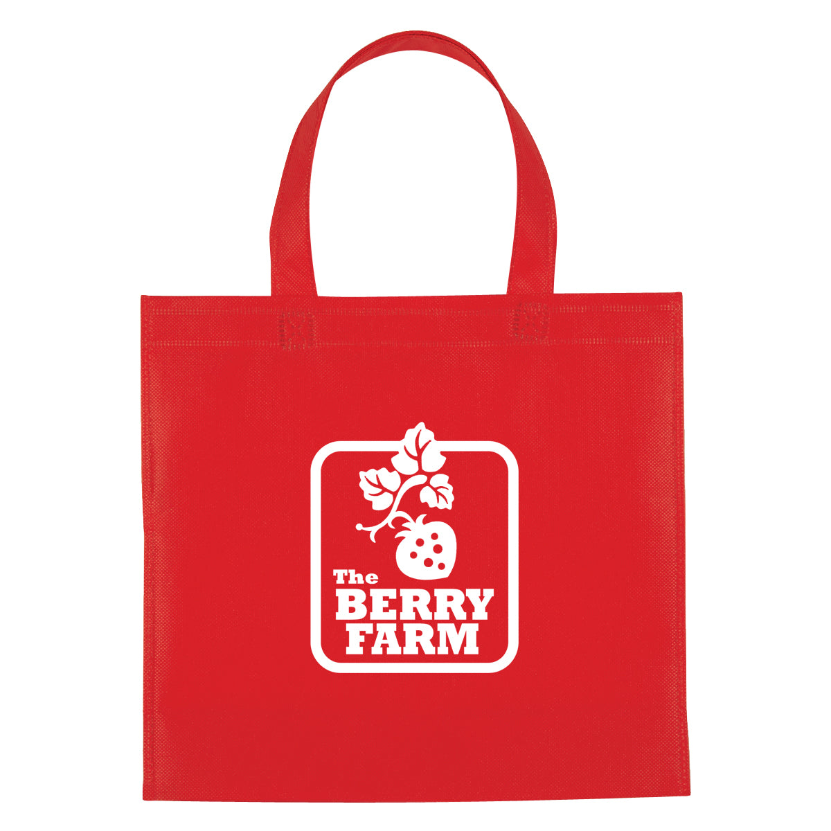 Non-Woven Mini Brochure Tote Bag