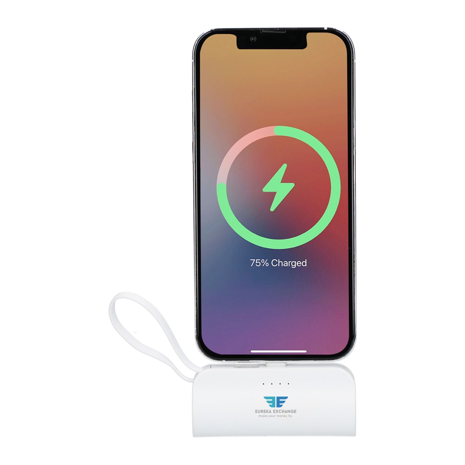 Hue 5000 mAh Power Bank with Multi Tips