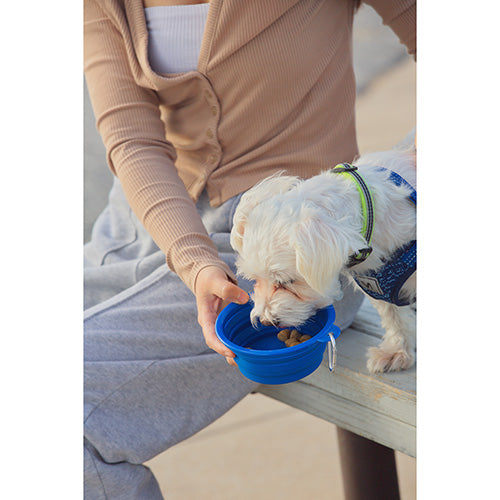 Feed &#39;N Go Collapsible Pet Bowl with Carabiner