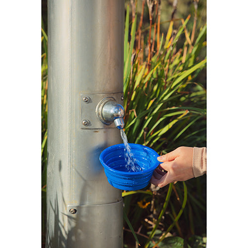 Feed 'N Go Collapsible Pet Bowl with Carabiner