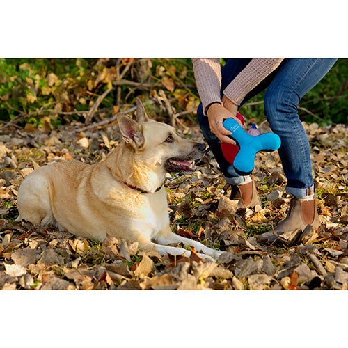 Toss-N-Float Dog Toy