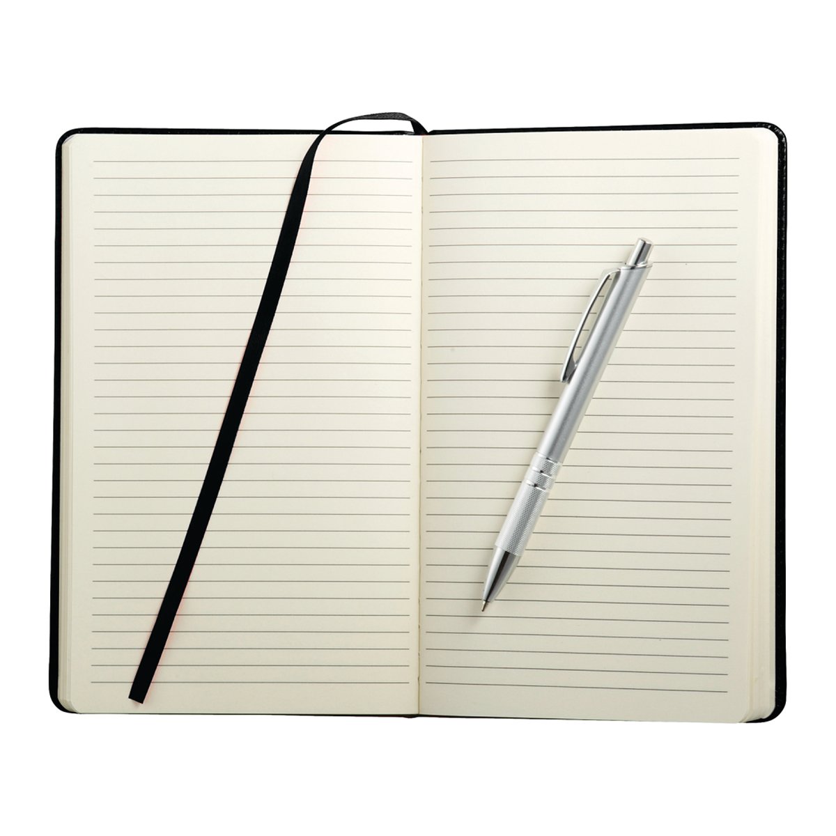 Viola Notebook with Metal Pen